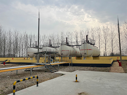 荣誉资质标题五